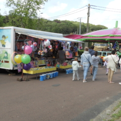 DSCN0741