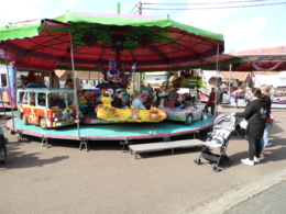 DSCN0736